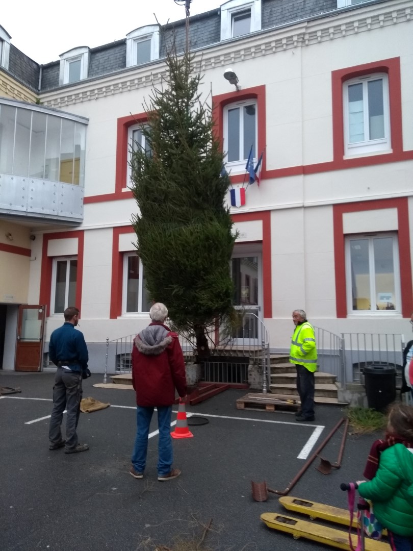 IMG_20181205_145858408 (Large)